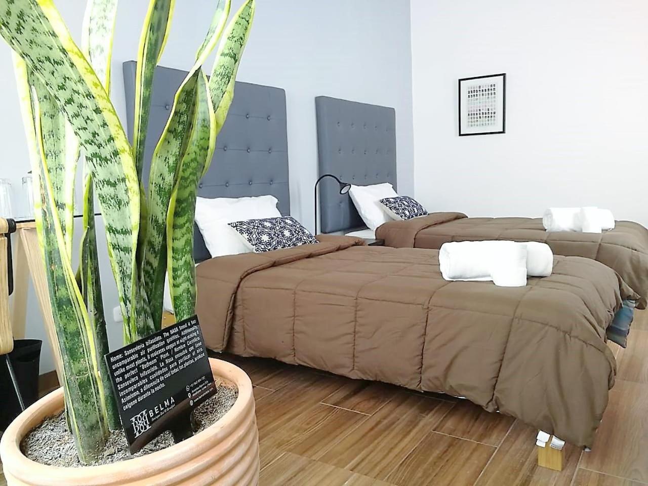 Belma Boutique Bed And Breakfast Lima Luaran gambar